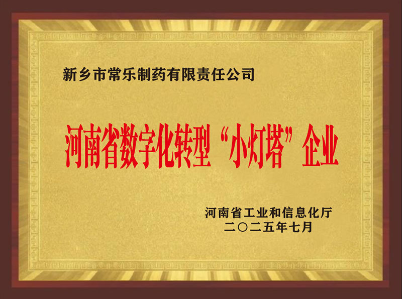 河南省数字化转型“小灯塔”企业