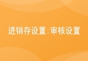 进销存设置：审核设置