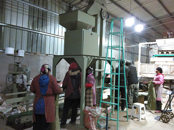 孟州花生包装秤使用现场