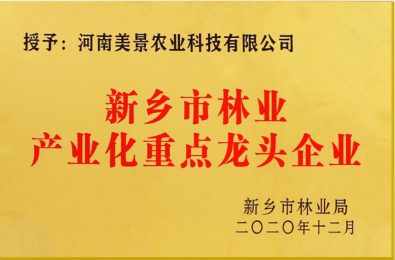 资质证书