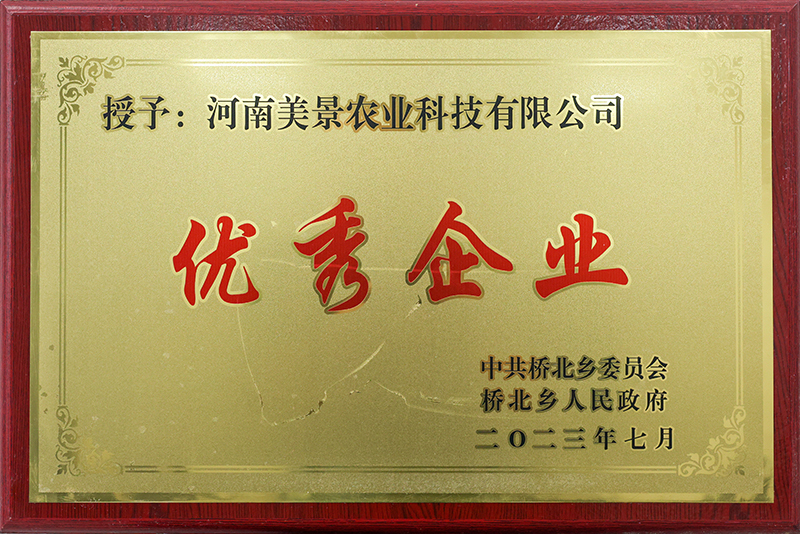 资质证书