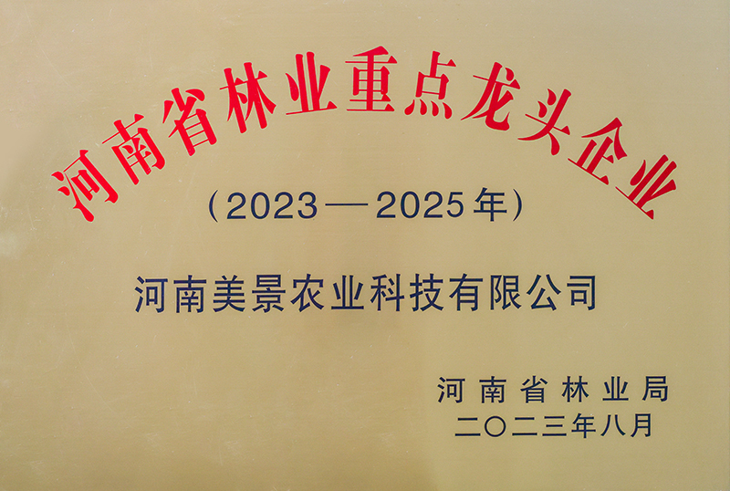 河南省林业重点龙头企业