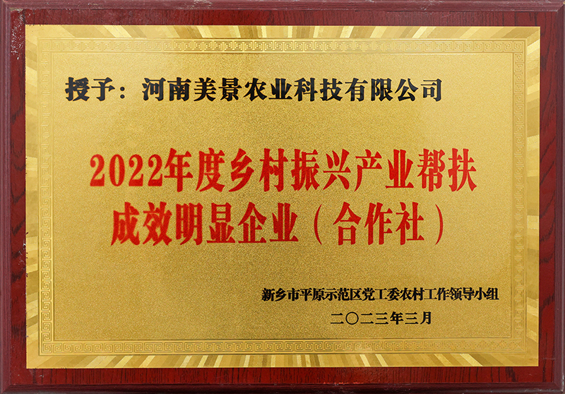 2022年度乡村振兴产业帮扶成效明显企业