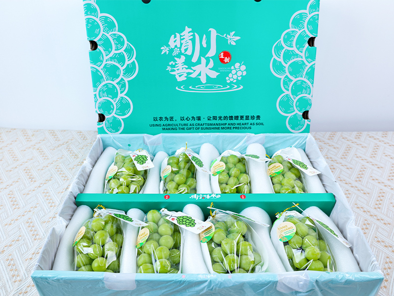 阳光玫瑰