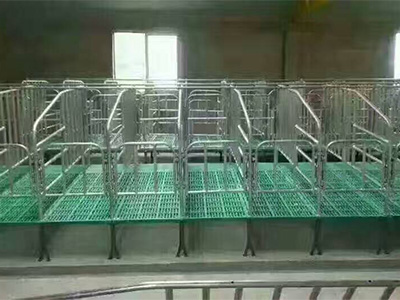 母猪限位栏