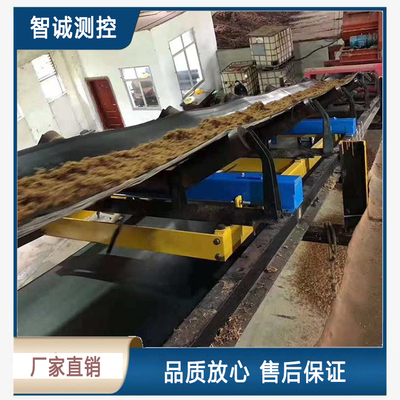 计量皮带称