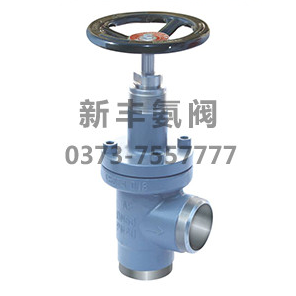 氨用精铸直角截止阀