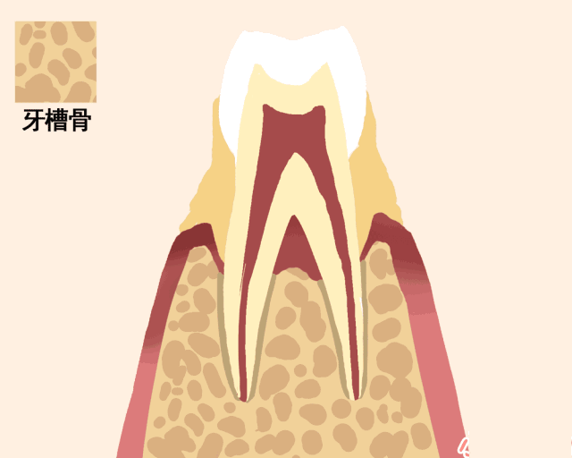 06.gif