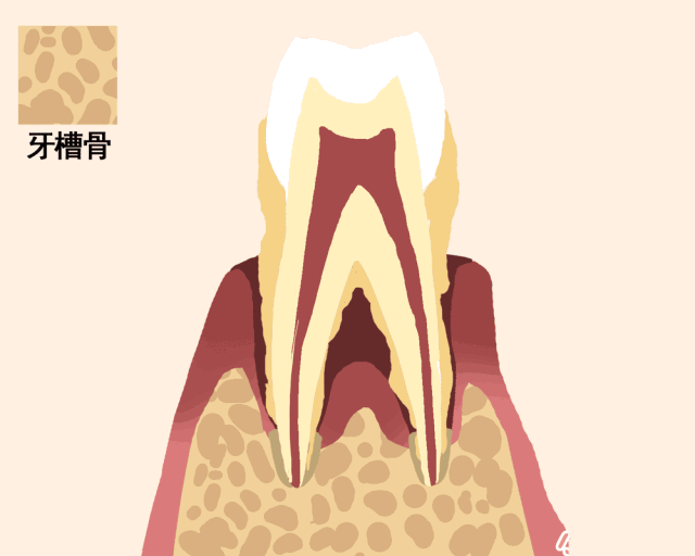 07.gif