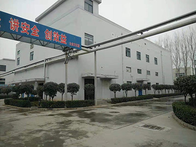 新辉药业厂区道路