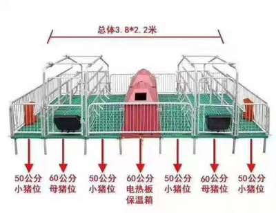 双体产床
