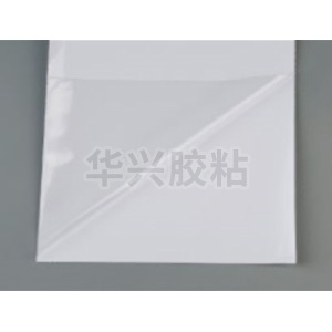 透明車身貼