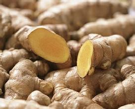 ����ר��������ٷ���վ