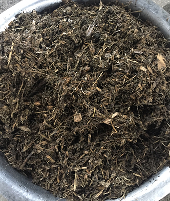 ����������Ҷ�ա�����Ҷե֭��