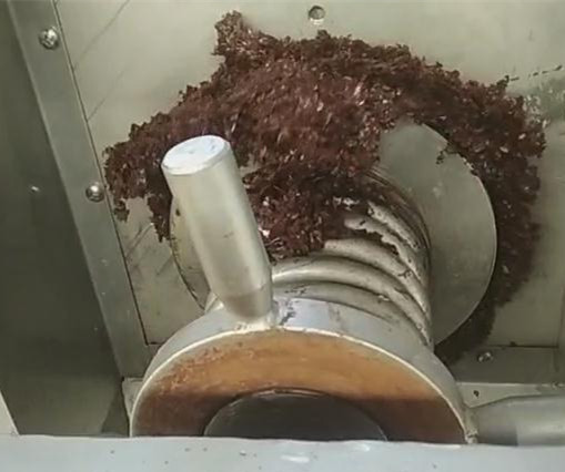 �����������͵�ҶƬ����������ٷ���վ