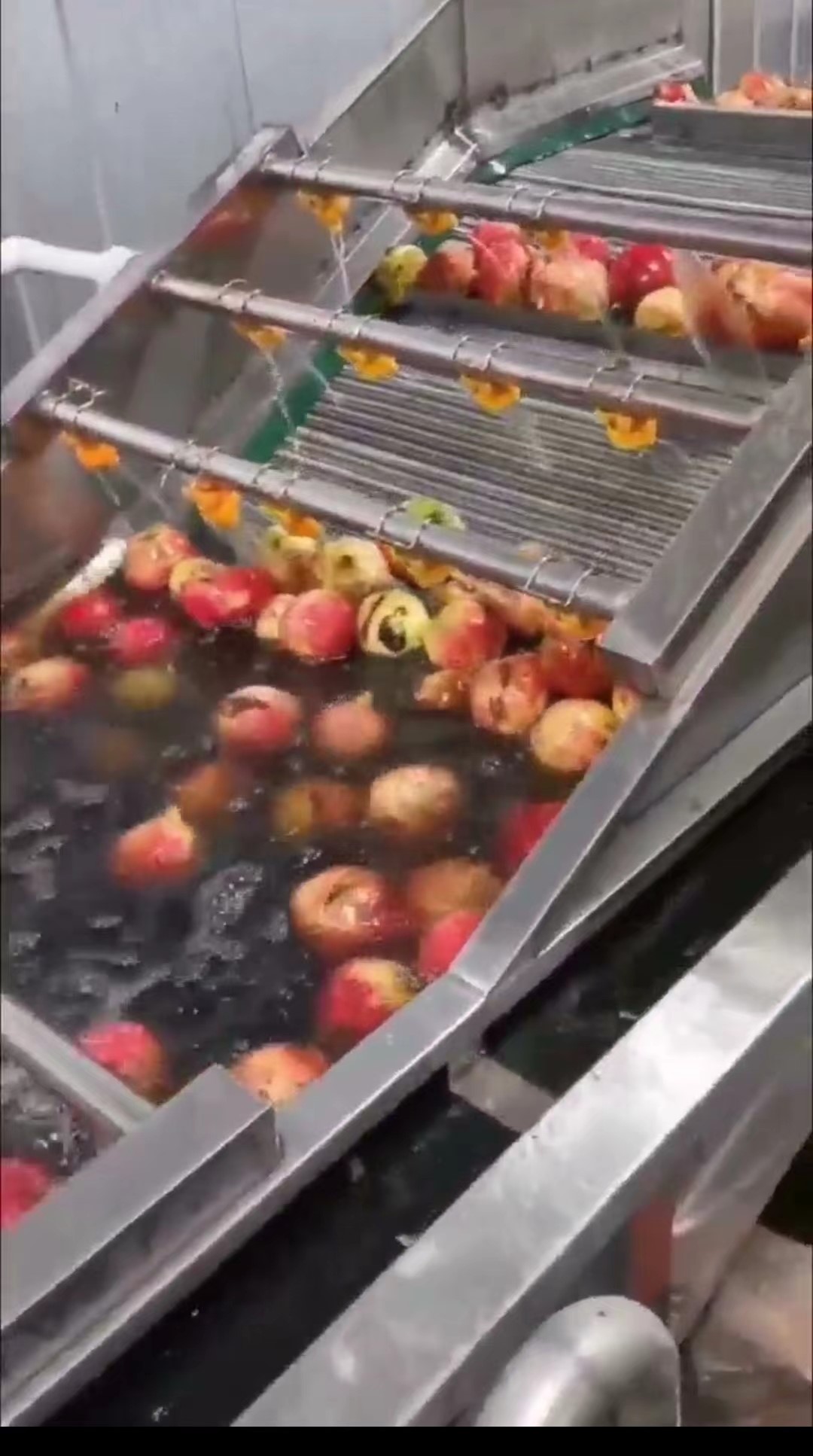 69a5db10e51e64877c0d7b037d1446c