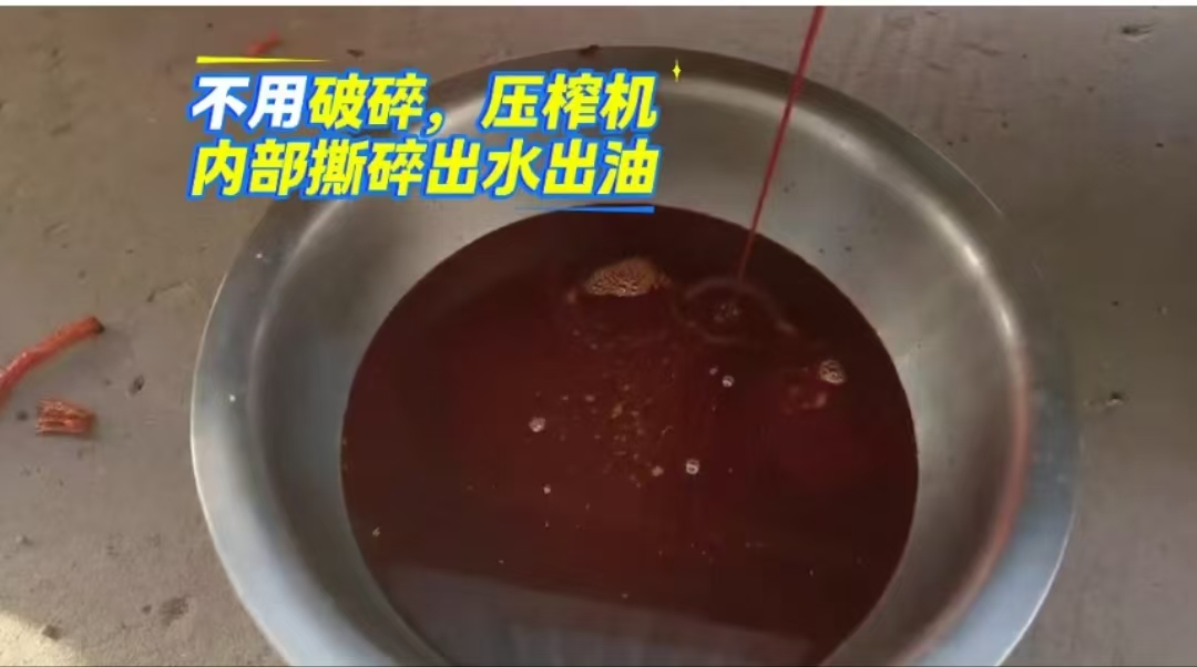 b8496add008a8d863e6db5d2e38f11a