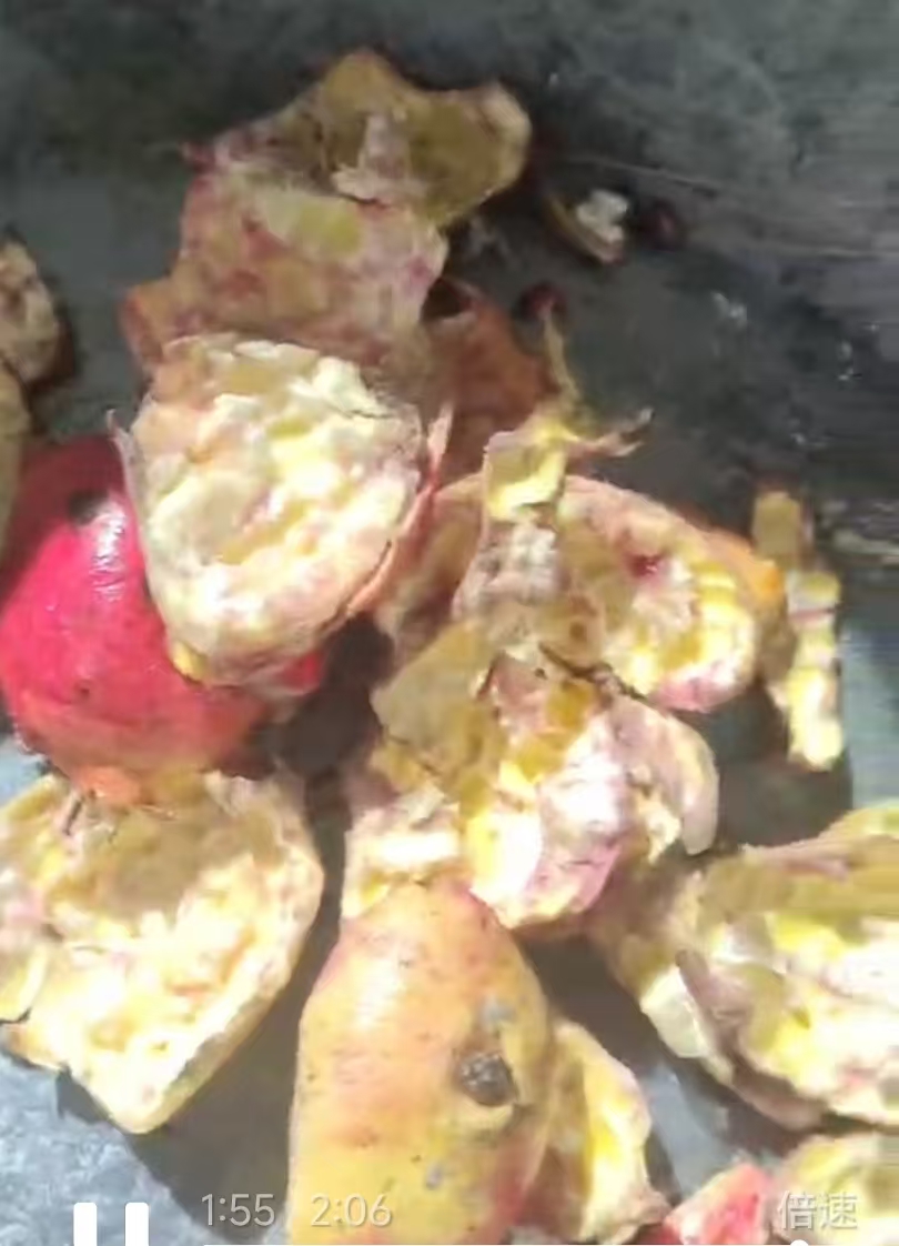 7f218098f88210383191251d7febe259