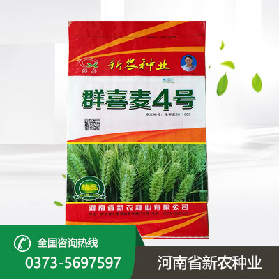 群喜麦4号