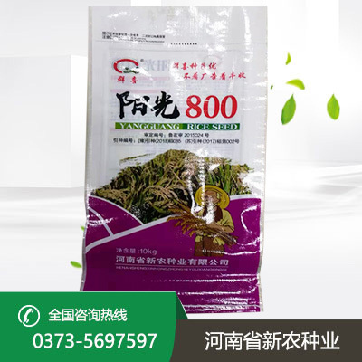 阳光800