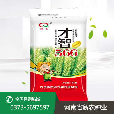 才智566