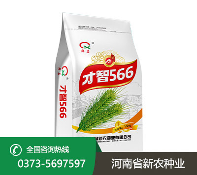 才智566