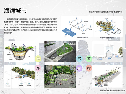 西寧海湖開發海綿城市