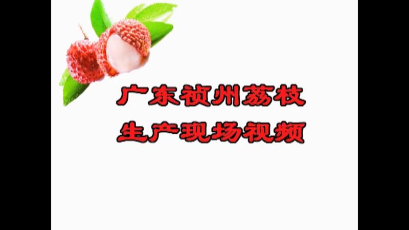 荔枝去皮去核一体机生产线