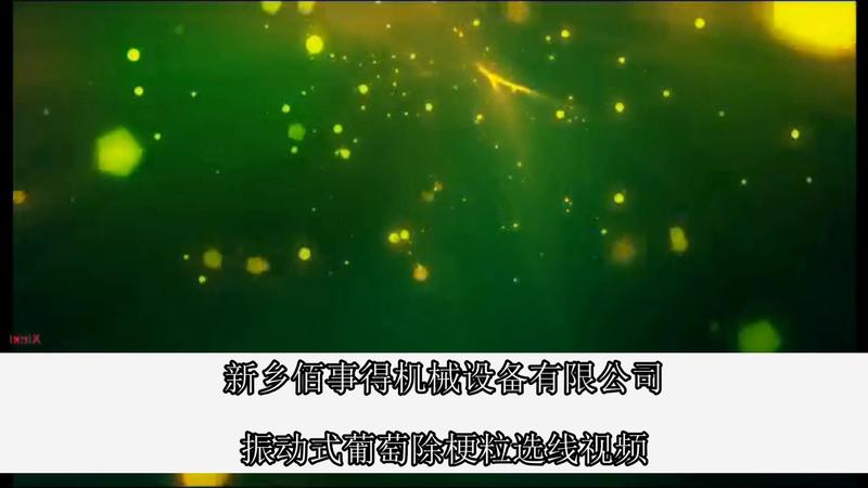 振动式葡萄除梗粒选生产线