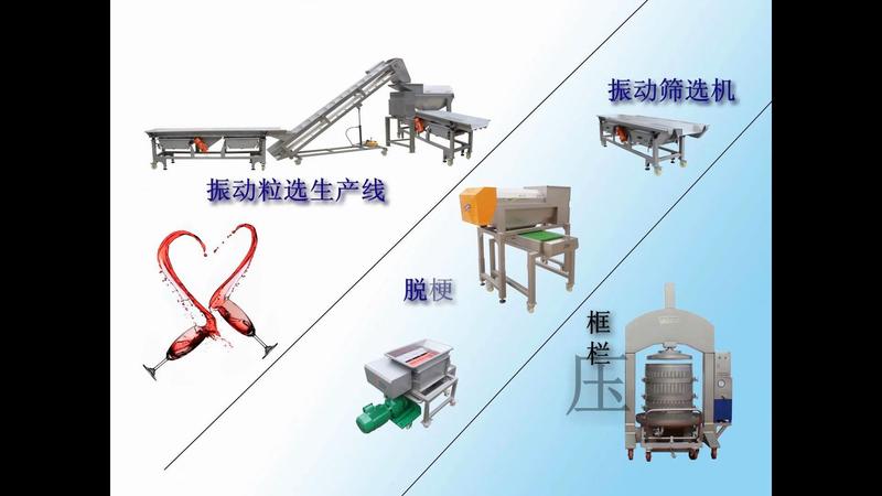 转筒式葡萄除梗粒选一体机