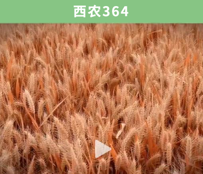 92c49ddc58a6373272b501c69db8a8c3203b4cd1.png