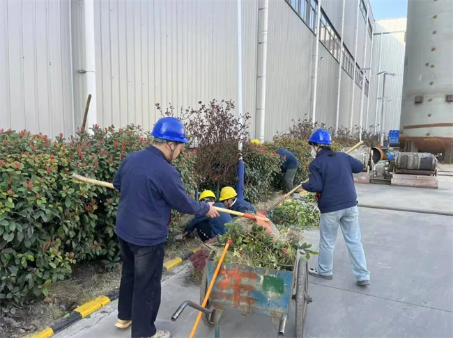 植树节 植树节