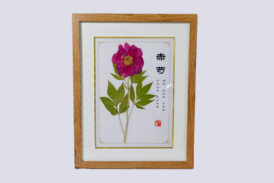 赤芍