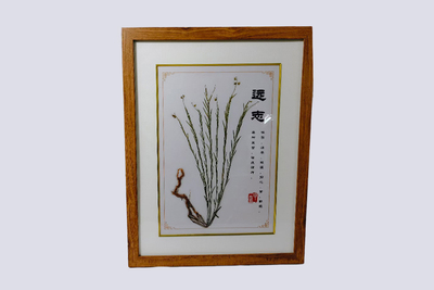 远志