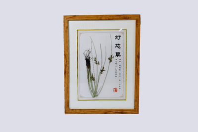 灯芯草