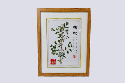 枸杞