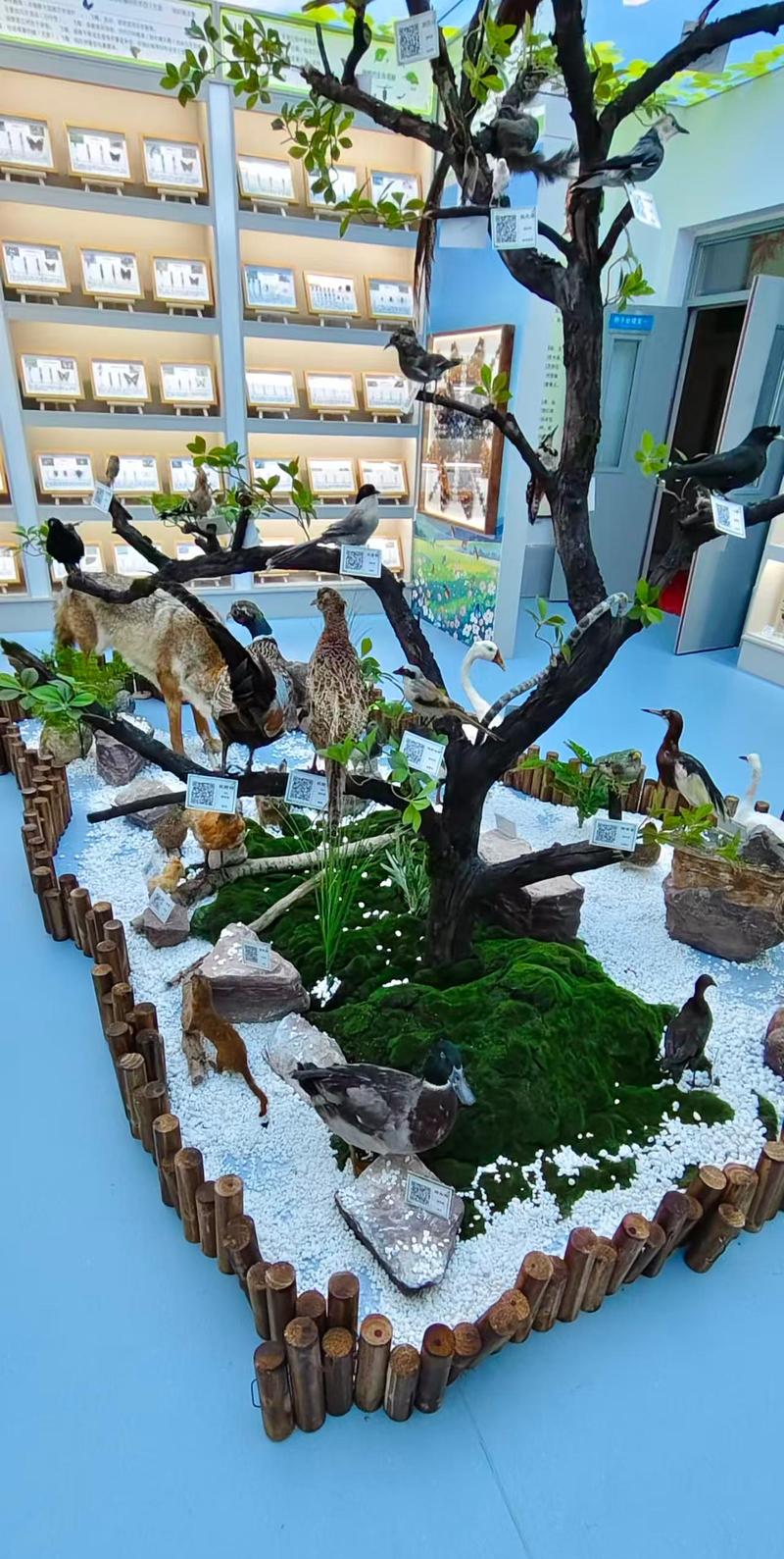 展区一角
