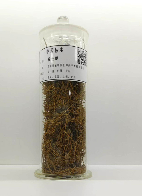 生药标本