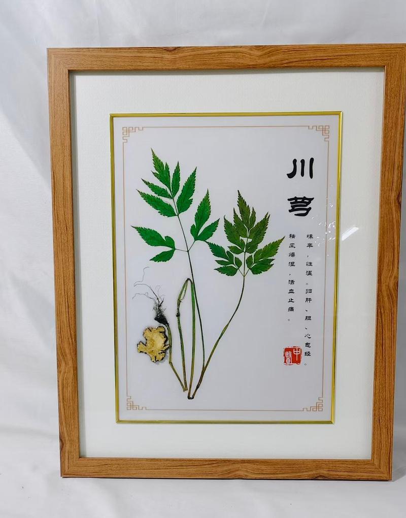 川芎