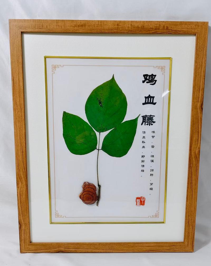 葛根