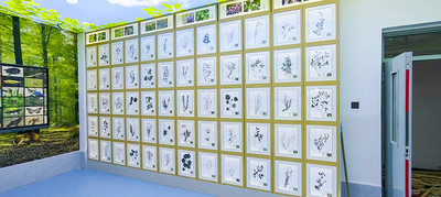 展厅