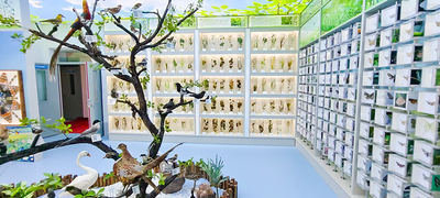 展厅