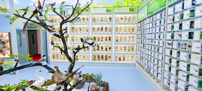 展厅