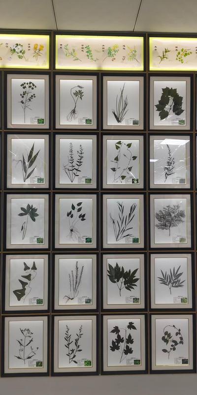 展区一角