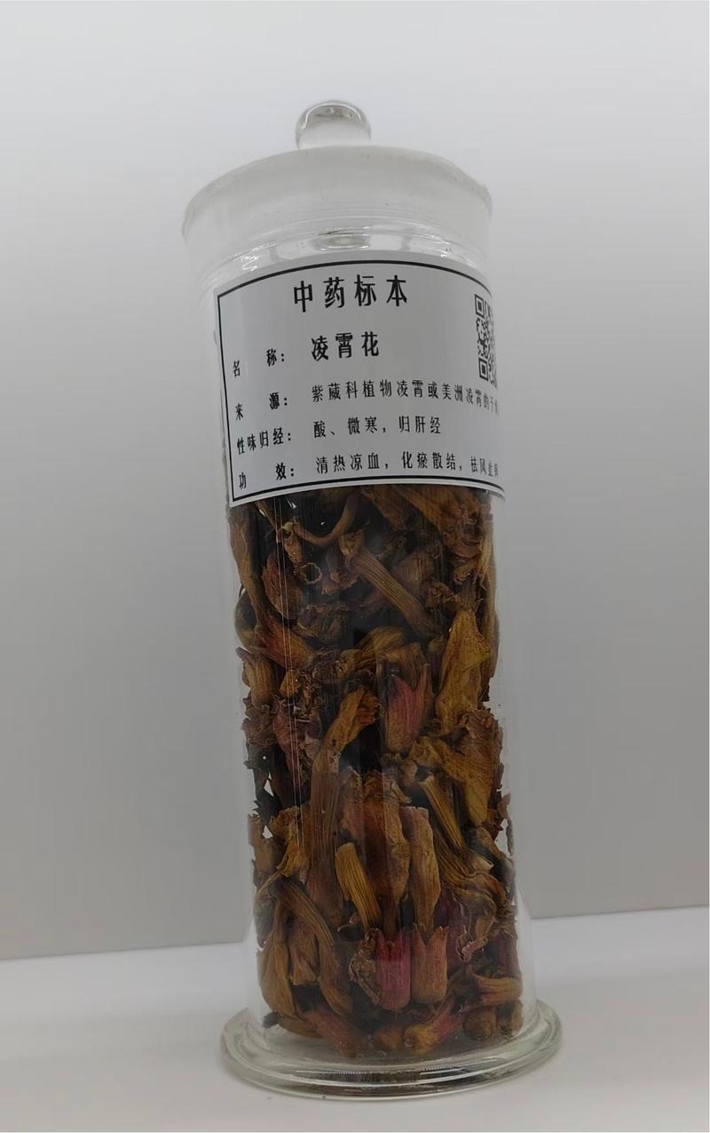 生药标本13