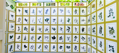 展厅