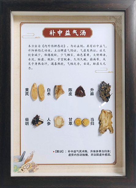 方剂标本