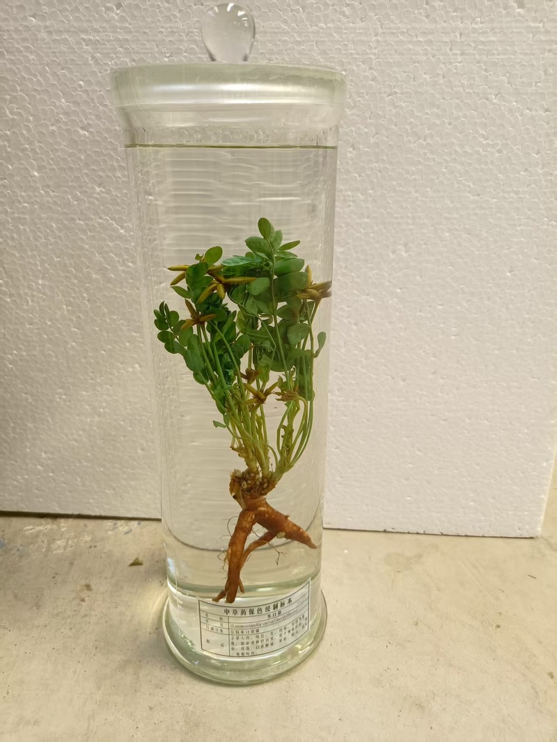 米口袋