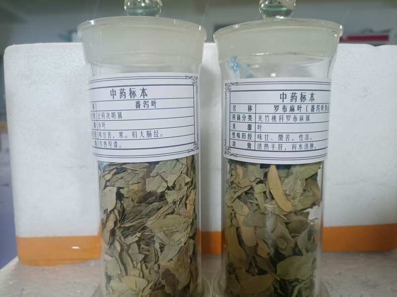 中药真伪鉴别