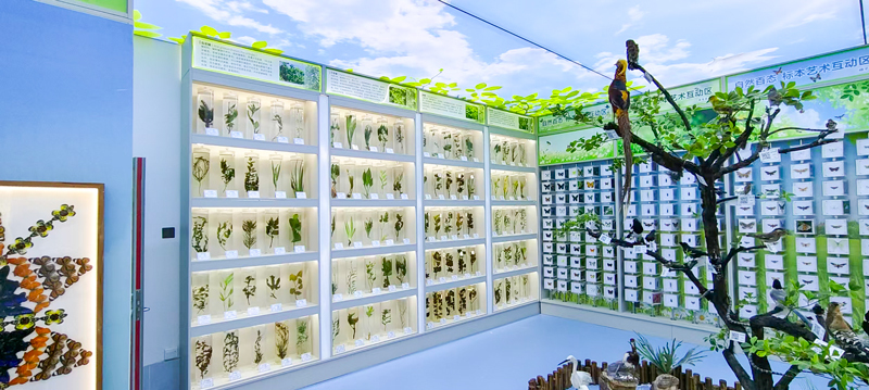 展厅